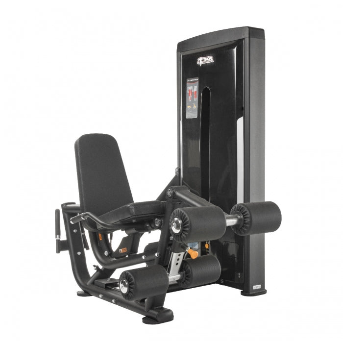 TF Standard WS, Leg Curl, Extension - Type 2