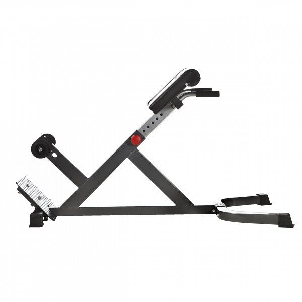 Back Extension 45 grader