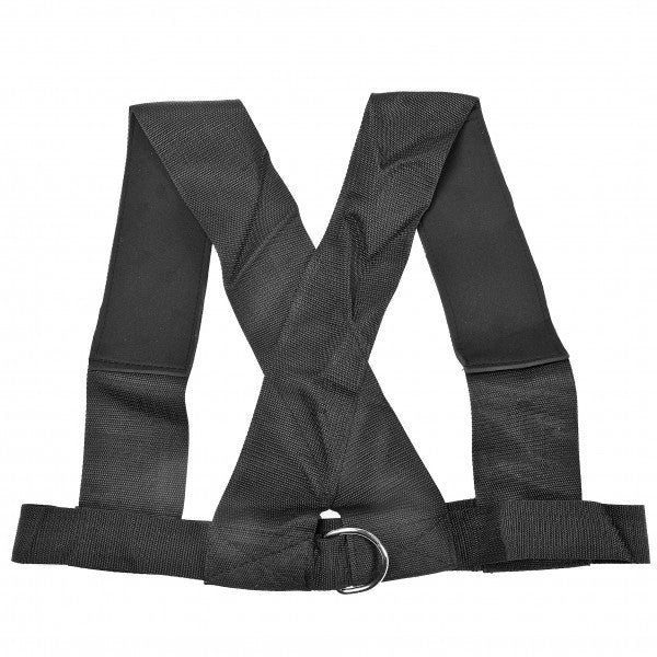 Sele/Harness