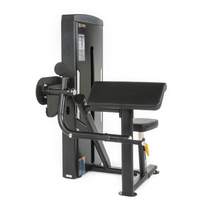 TF STANDARD WS, BICEPS CURL