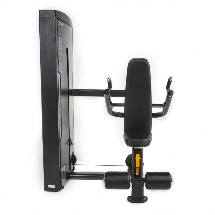 TF STANDARD WS, TRICEPS PRESS