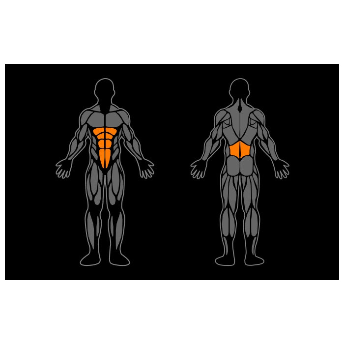 Smart Gym Abdominal / Back Extension