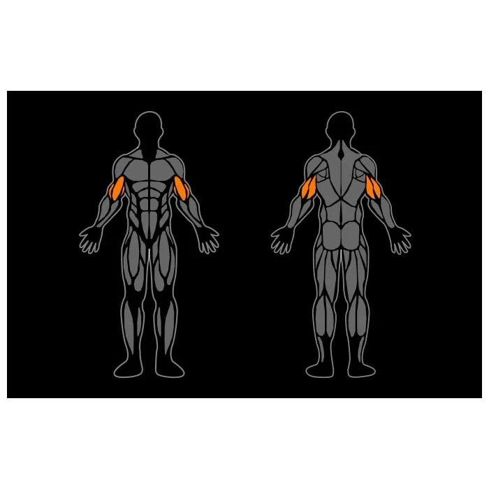 Smart Gym Biceps / Triceps