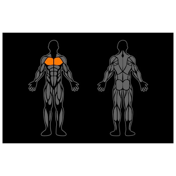 Smart Gym Chest Press