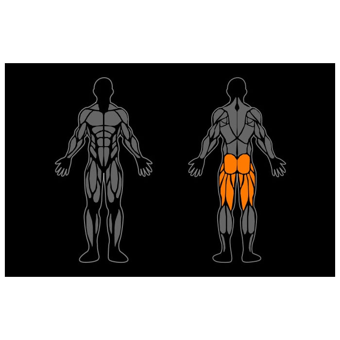 Smart Gym Hip Thrust