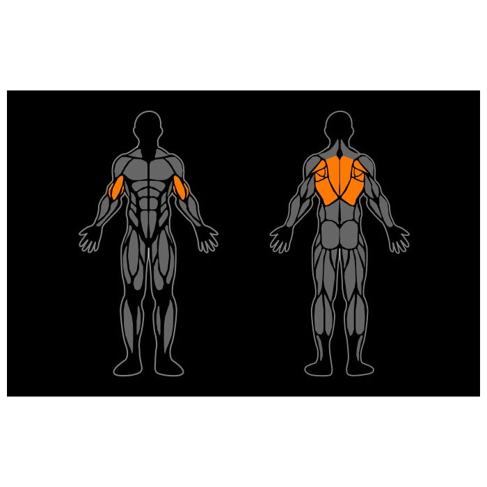 Smart Gym Lat Pulldown