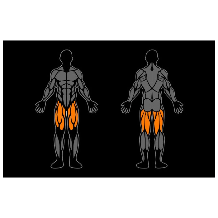 Smart Gym Leg Extension / Leg Curl