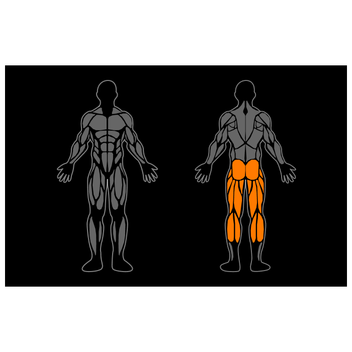 Smart Gym Prone Leg Curl