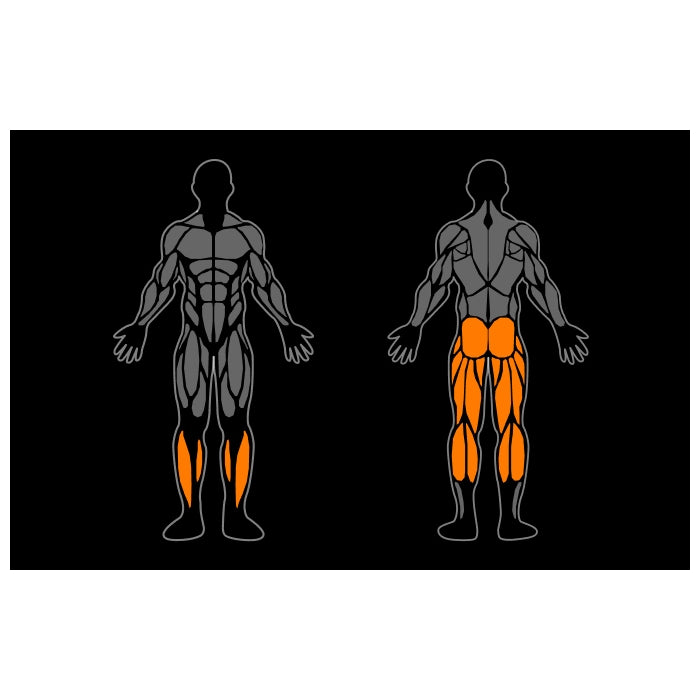 Smart Gym Standing Calf Raise
