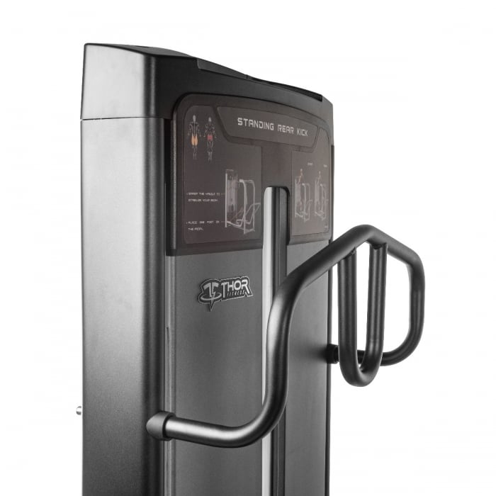 TF Advanced Standing Rear Kick