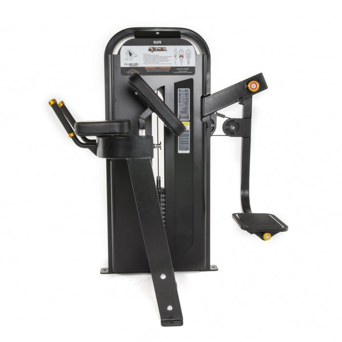 TF Exclusive WS - Glute Machine